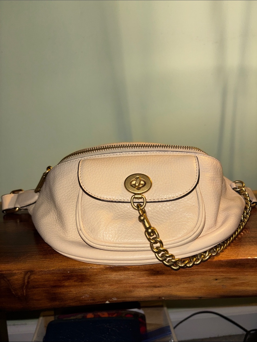 Coach leather women’s belt bag